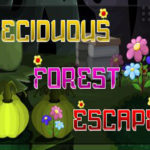 Deciduous Forest Escape